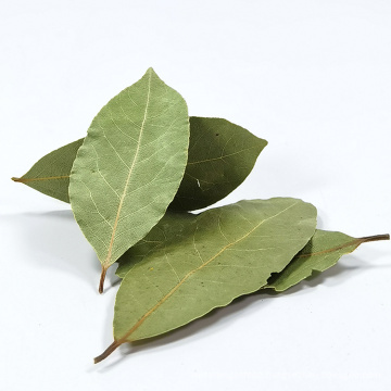 China Factory Supply Wholesale Good Price Dehydrated Dried Natural Organic Bay Leaves